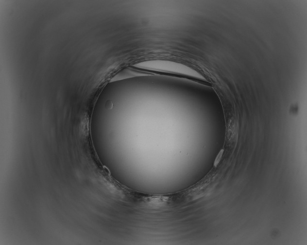 X0000091090474200708271300