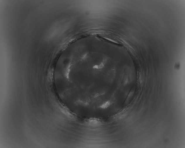 X0000091090475200708271300