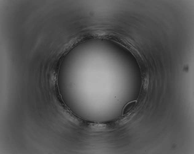 X0000091090476200708271300