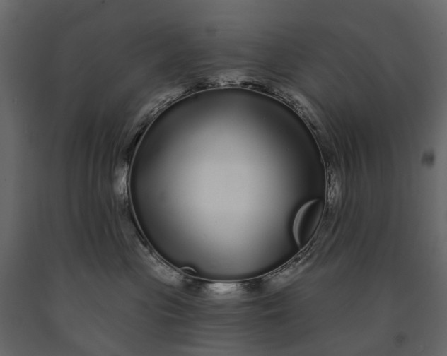 X0000091090477200708271300