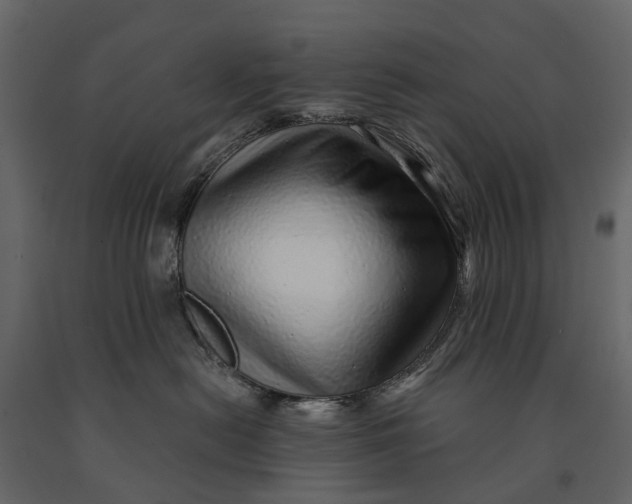 X0000091090478200708271300