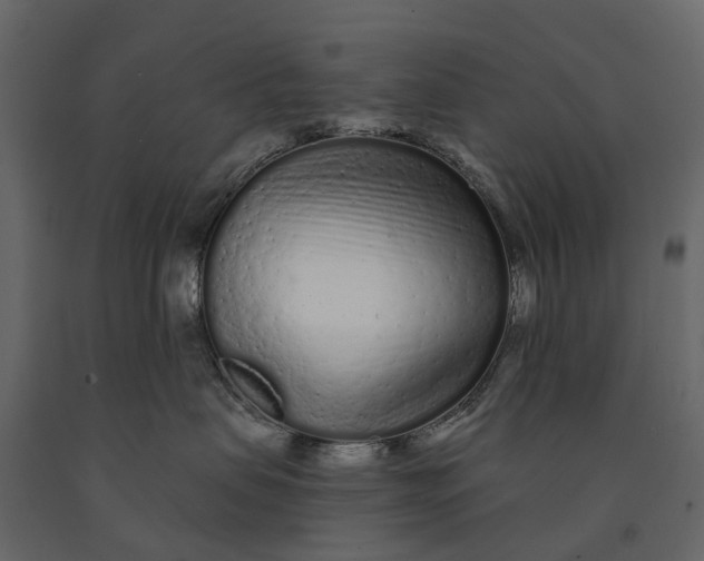 X0000091090479200708271300