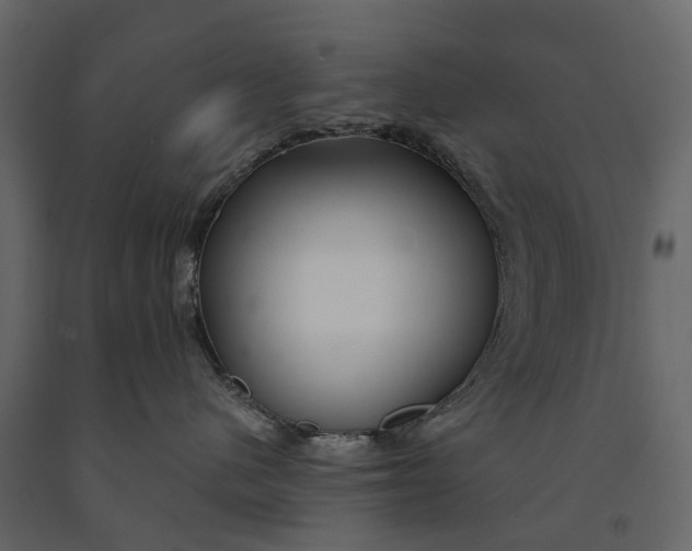 X0000091090480200708271300