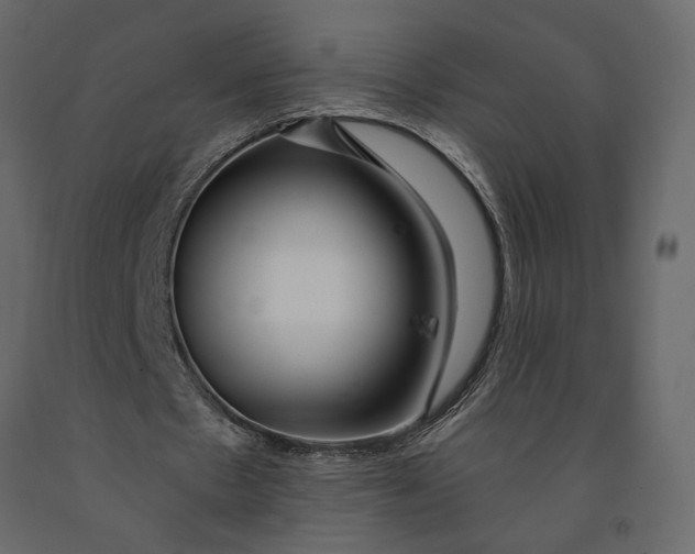 X0000091090481200708271259