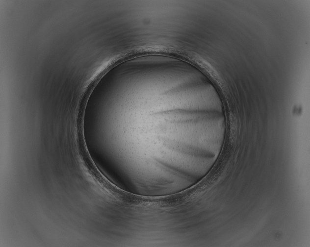 X0000091090482200708271259