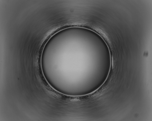 X0000091090483200708271259