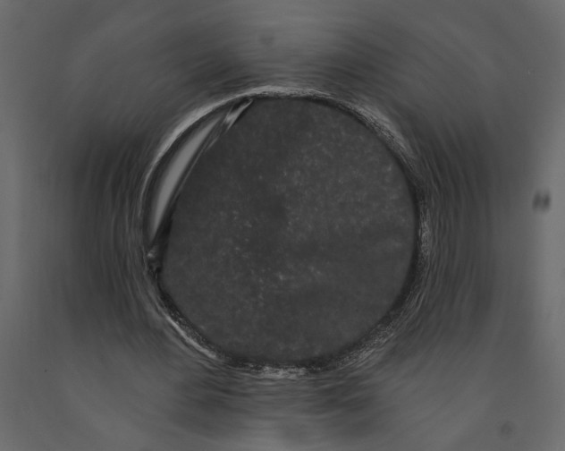 X0000091090484200708271259