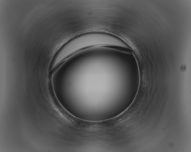 X0000091090485200708271259