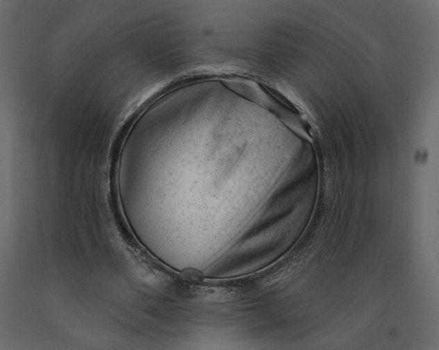 X0000091090486200708271259