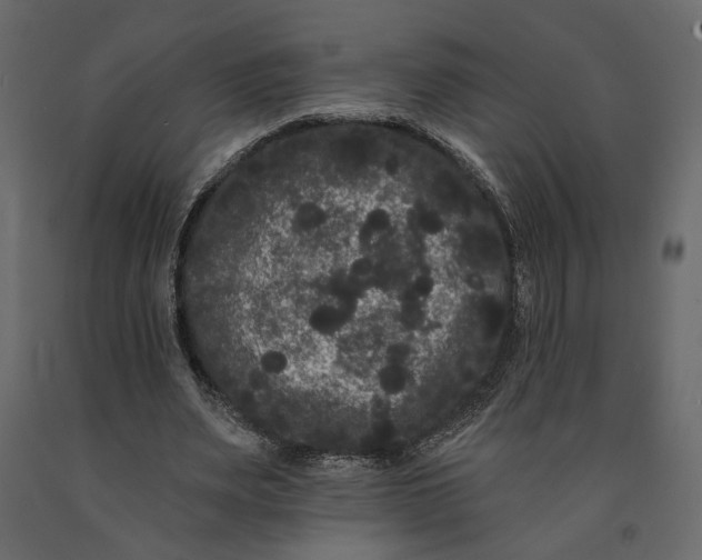 X0000091090487200708271259