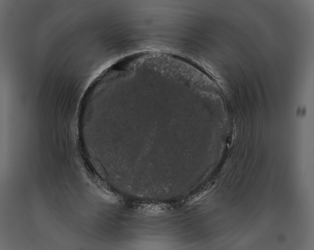 X0000091090488200708271259