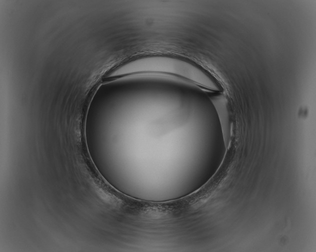 X0000091090489200708271259