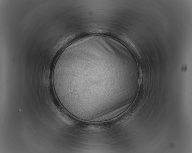 X0000091090490200708271259