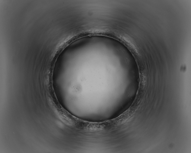 X0000091090491200708271259