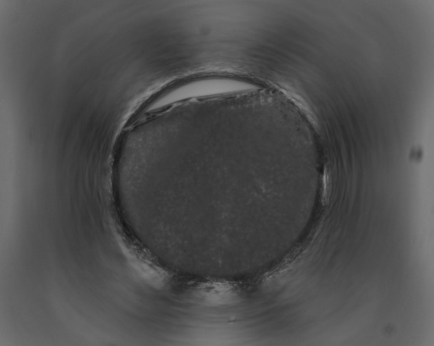 X0000091090492200708271259