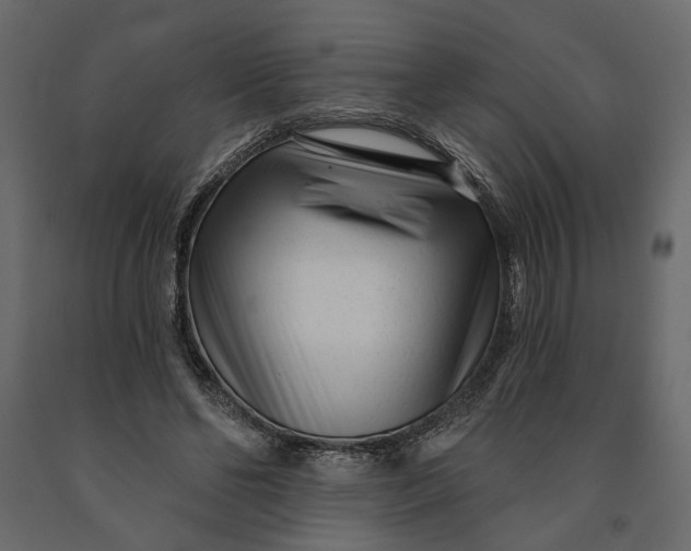 X0000091090494200708271259