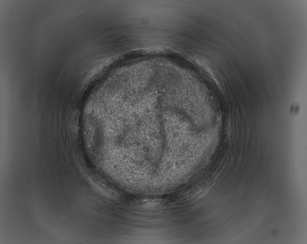 X0000091090495200708271259