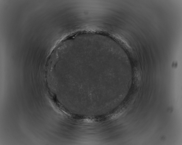 X0000091090496200708271259