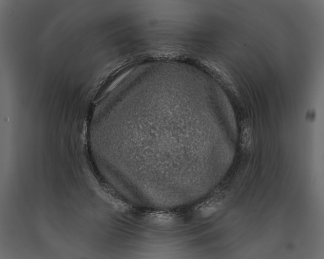 X0000091090498200708271259