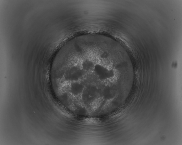 X0000091090499200708271259