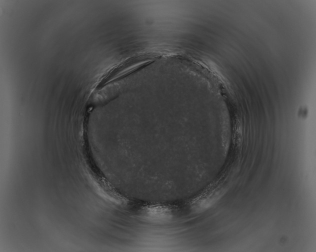 X0000091090500200708271259