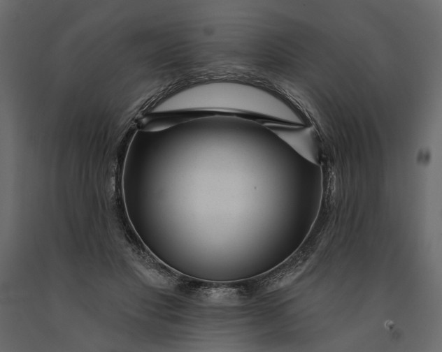 X0000091090501200708271259