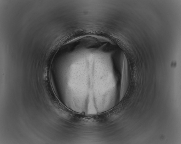 X0000091090502200708271259