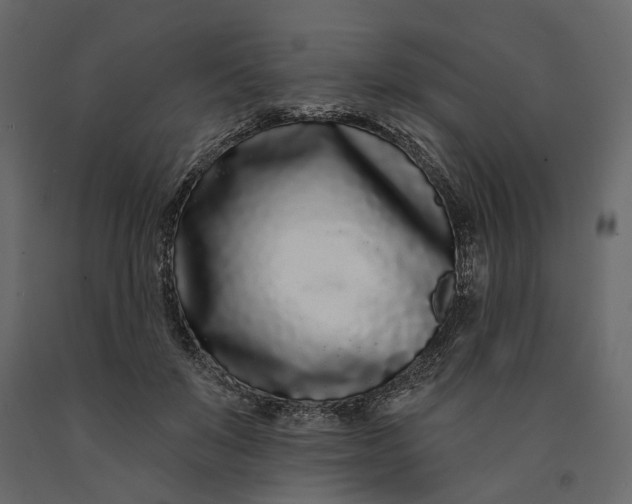 X0000091090503200708271259