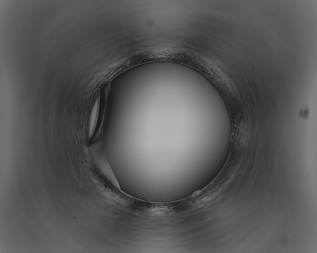 X0000091090505200708271259