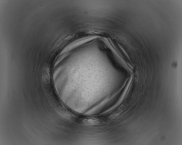 X0000091090506200708271259