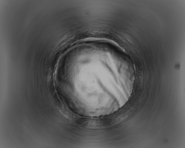 X0000091090507200708271259