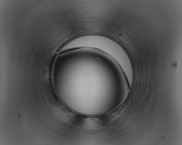 X0000091090508200708271259