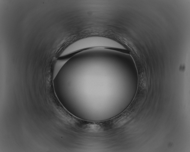 X0000091090509200708271259