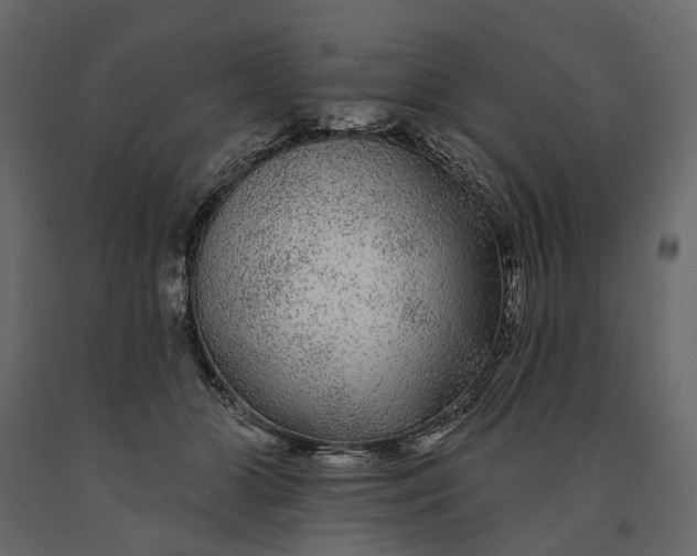 X0000091090510200708271258