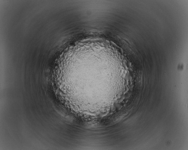 X0000091090511200708271258