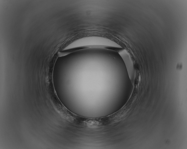 X0000091090512200708271258