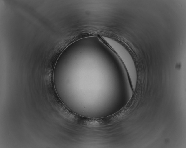 X0000091090513200708271258