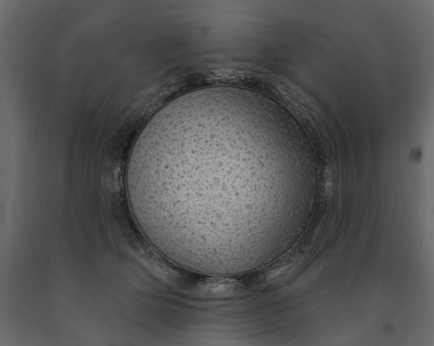 X0000091090514200708271258