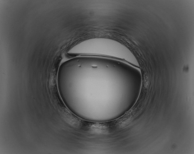 X0000091090515200708271258