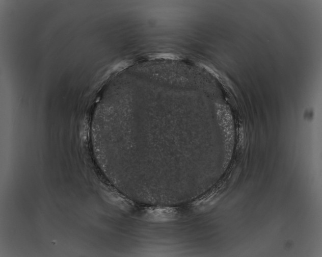 X0000091090517200708271258