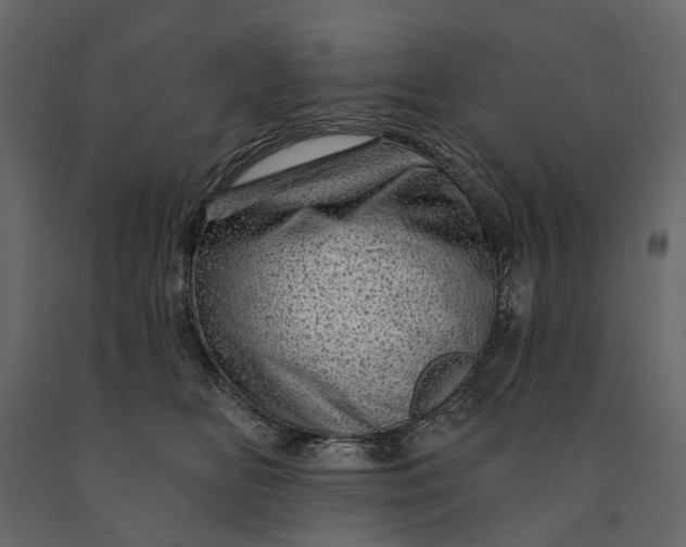 X0000091090518200708271258