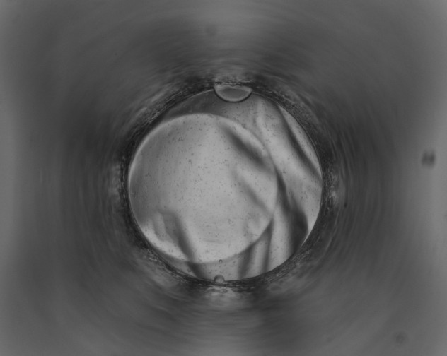 X0000091090519200708271258