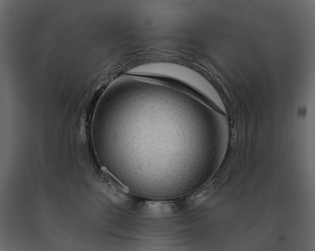 X0000091090520200708271258