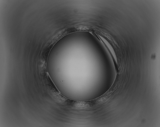 X0000091090521200708271258