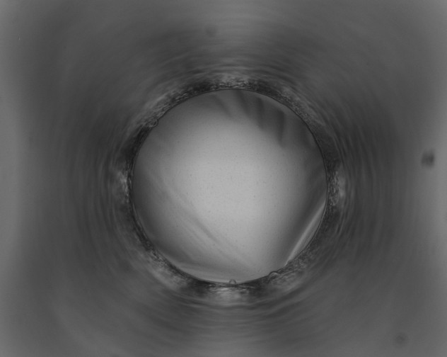 X0000091090522200708271258