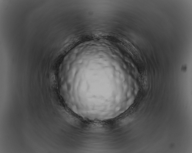 X0000091090523200708271258