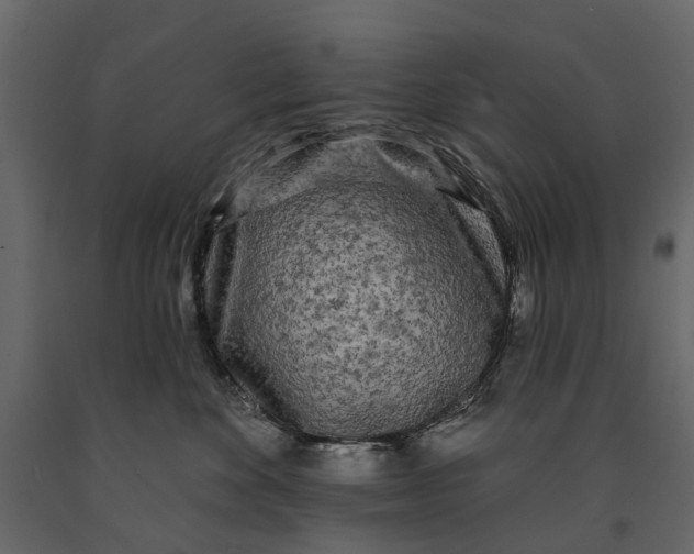 X0000091090524200708271258