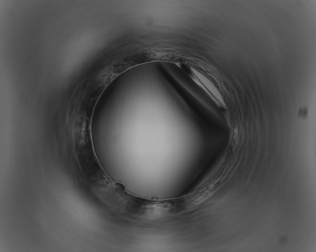 X0000091090525200708271258