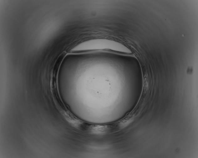 X0000091090527200708271258