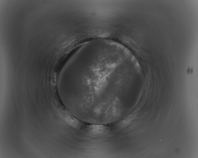 X0000091090528200708271258